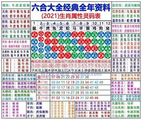 2024咩生肖|2024年生肖表 2024年生肖表图